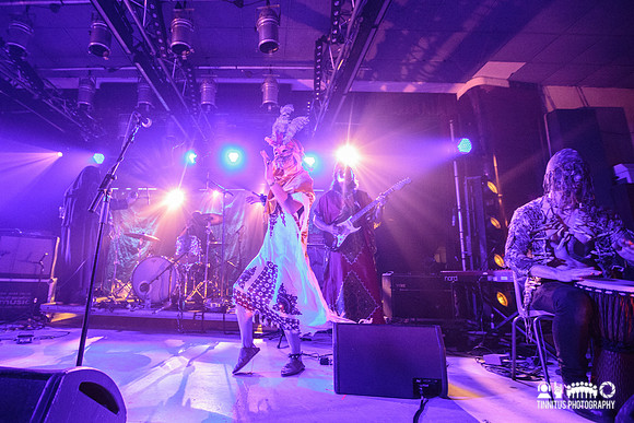 Goat in concert