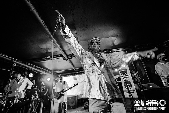 Dr. Octagon in concert