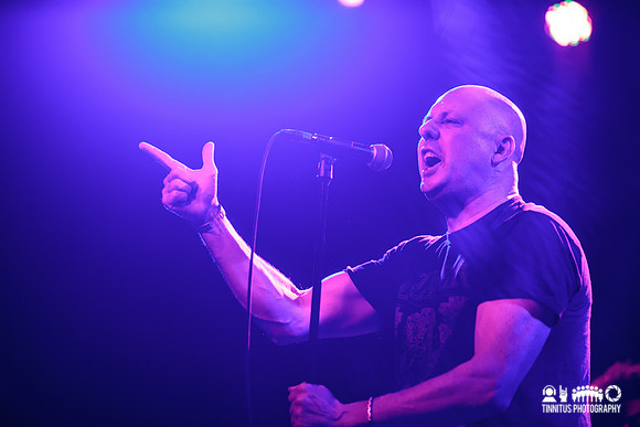 Kings Destroy in concert