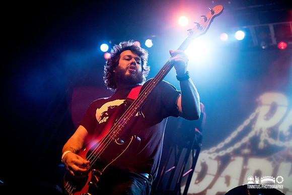 Elder in concert