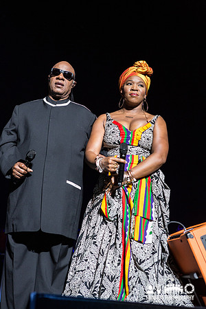 Stevie Wonder in concert
