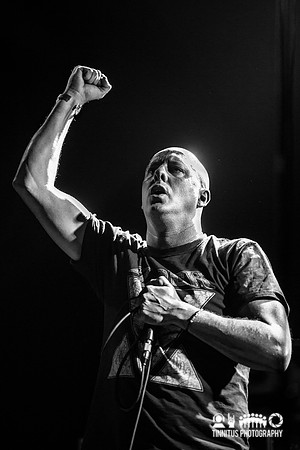 Kings Destroy in concert