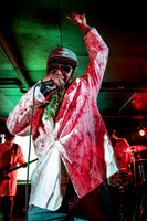 Dr. Octagon in concert