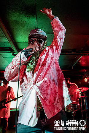 Dr. Octagon in concert