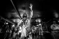 Dr. Octagon in concert