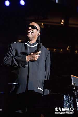 Stevie Wonder in concert