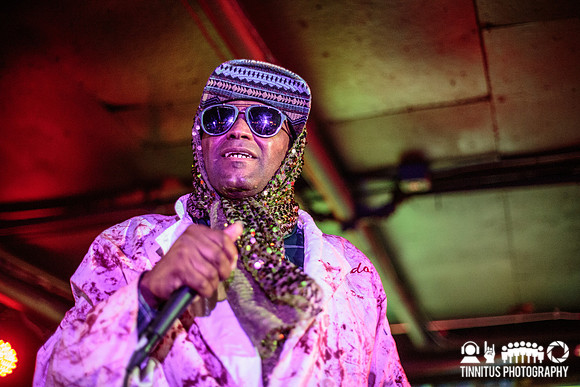 Dr. Octagon in concert
