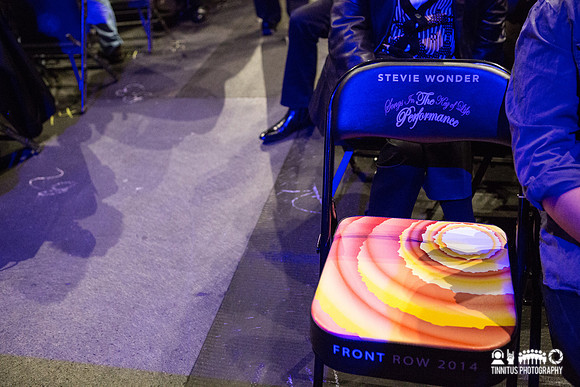 Stevie Wonder in concert