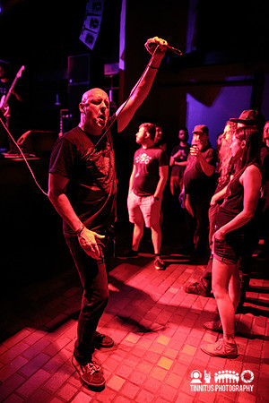 Kings Destroy in concert