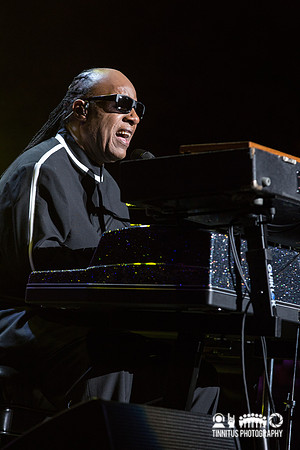 Stevie Wonder in concert
