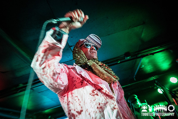 Dr. Octagon in concert