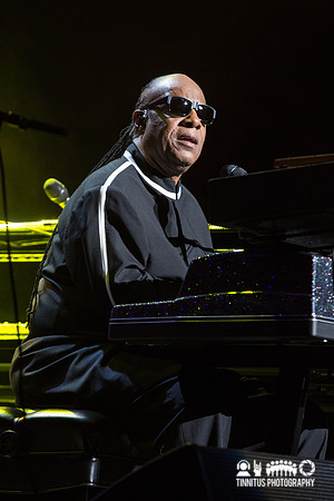 Stevie Wonder in concert