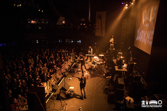 Elder in concert