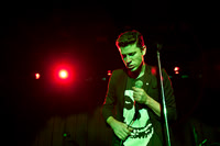 Crocodiles in concert