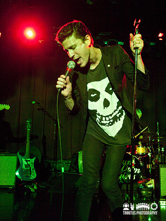 Crocodiles in concert