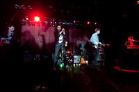 Crocodiles in concert