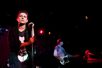Crocodiles in concert