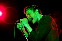 Crocodiles in concert