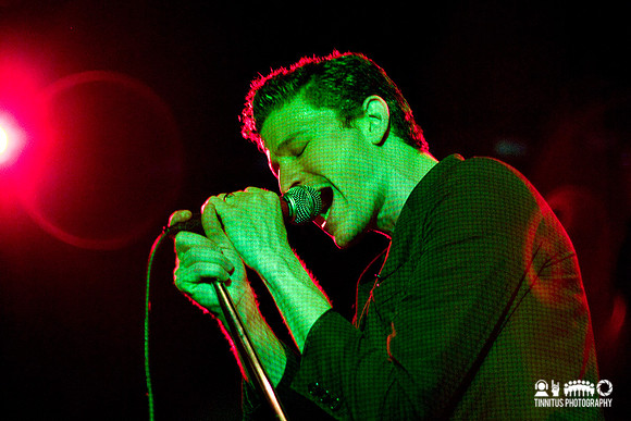 Crocodiles in concert