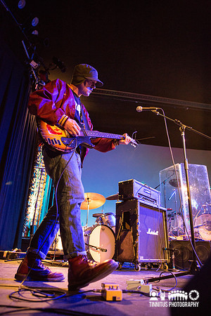 Rats And Bugs in concert