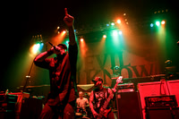 Devil You Know in concert
