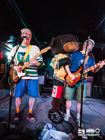 The Zambonis in concert