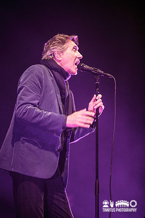 Bryan Ferry in concert
