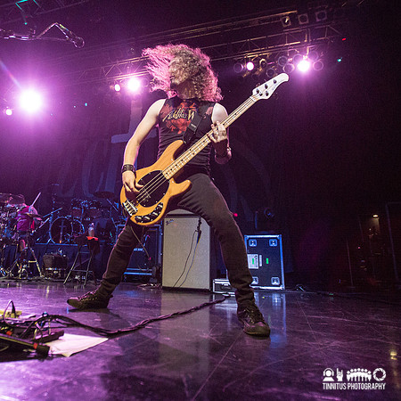 Adelitas Way in concert
