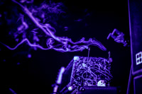 Ancient VVisdom in concert