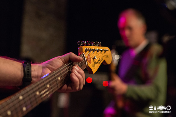 The Bats in concert