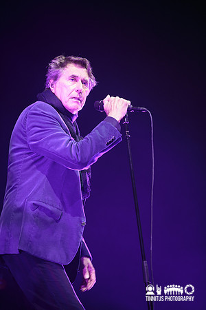 Bryan Ferry in concert