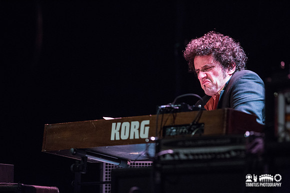 Swans in concert