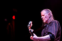 Swans in concert