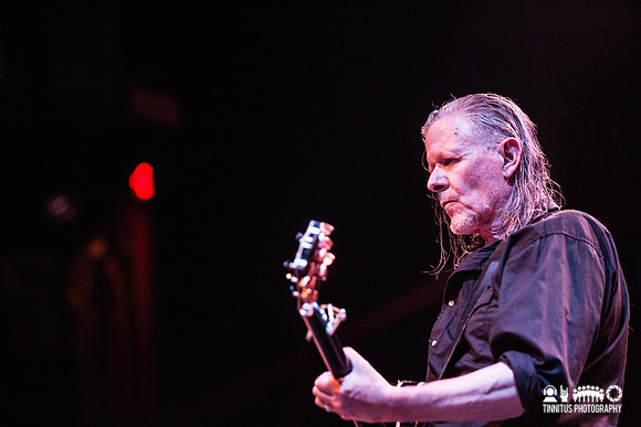 Swans in concert