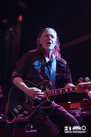 Swans in concert