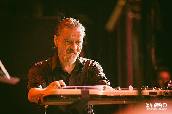Swans in concert