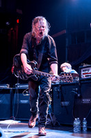 Swans in concert
