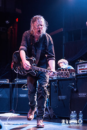 Swans in concert
