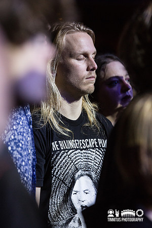 Swans in concert