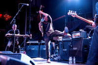 Swans in concert