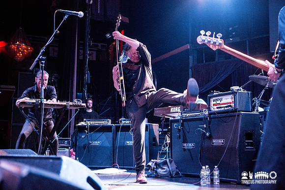 Swans in concert
