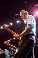 Swans in concert