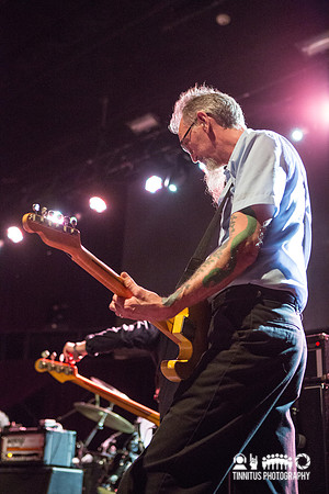 Swans in concert