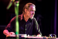 Swans in concert