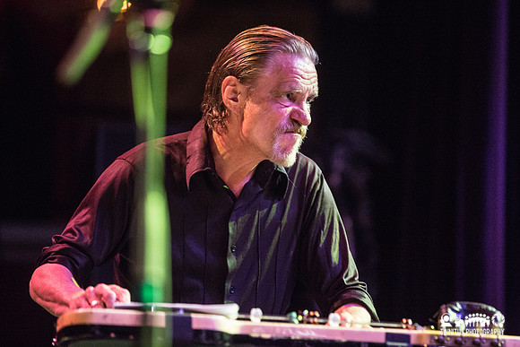 Swans in concert