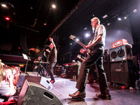 Swans in concert