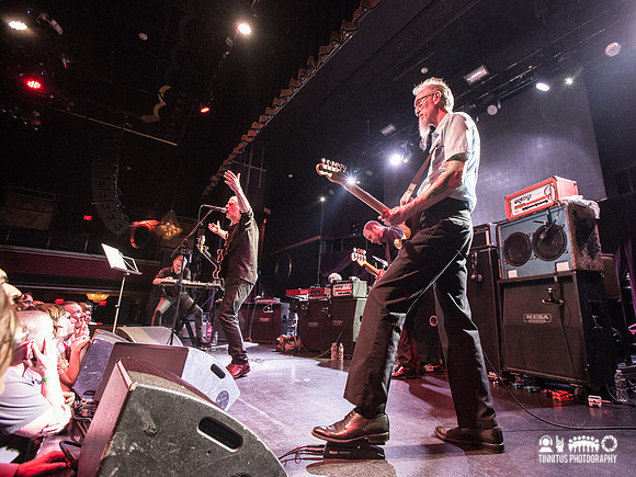 Swans in concert