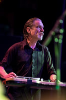 Swans in concert