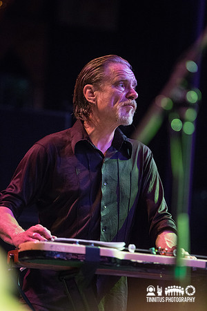 Swans in concert