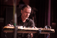 Swans in concert